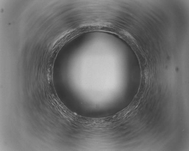 X0000053021064200507291727