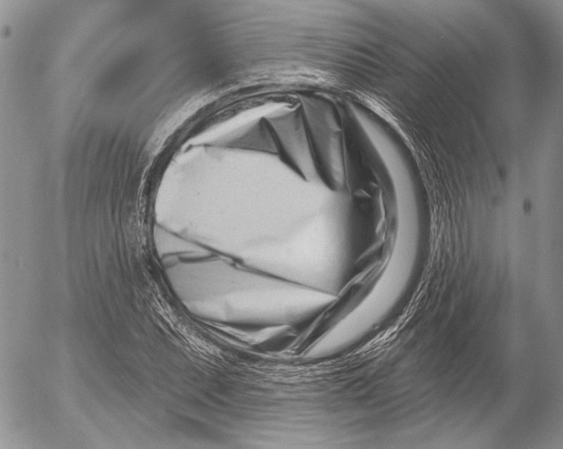 X0000053021071200507291727