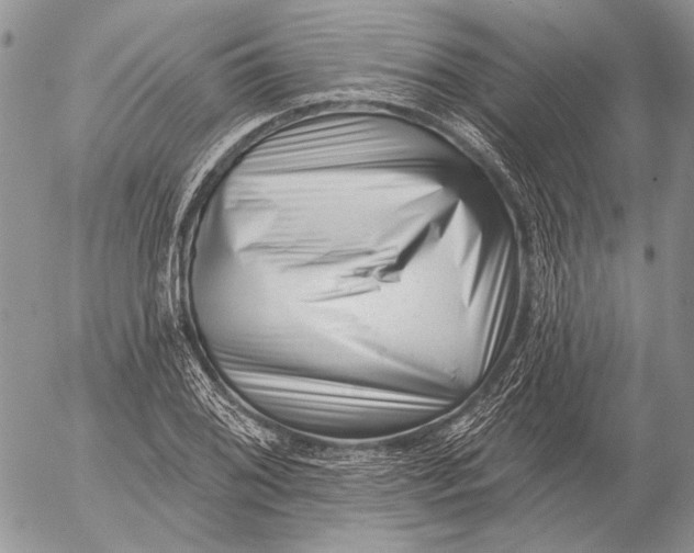 X0000053021076200507291727