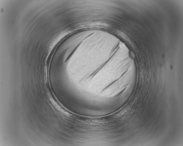 X0000053021079200507291727