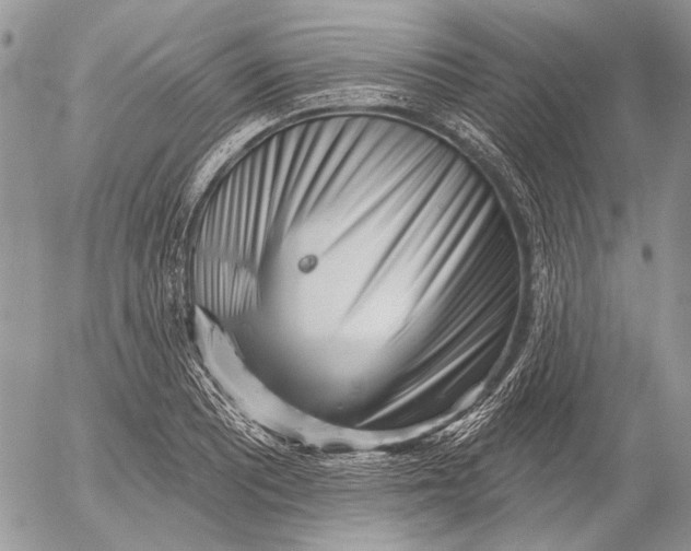 X0000053021081200507291727