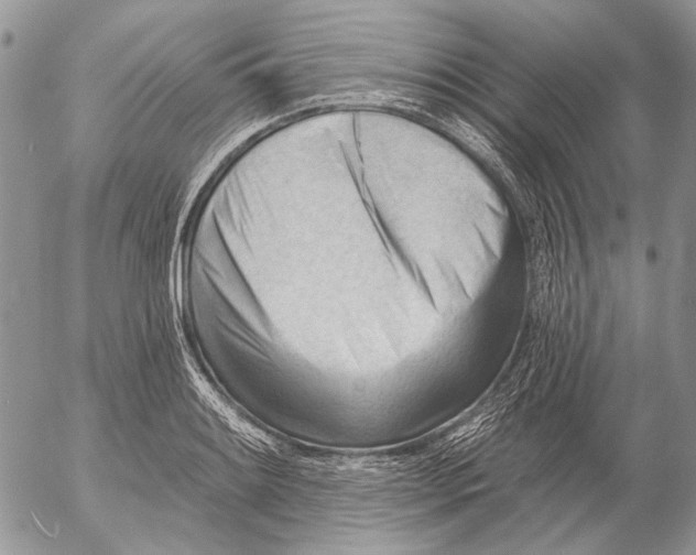 X0000053021084200507291727