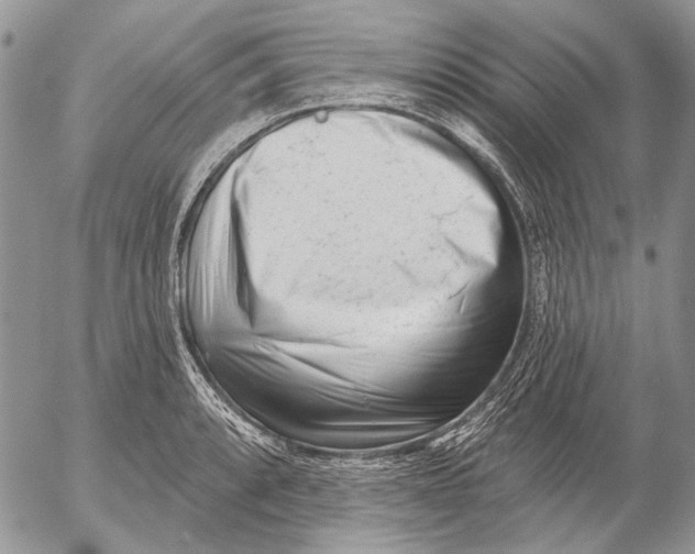 X0000053021088200507291727
