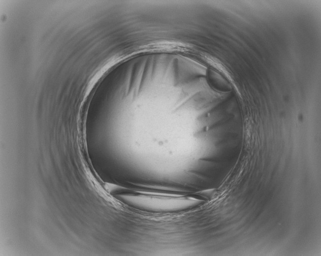 X0000053021091200507291727