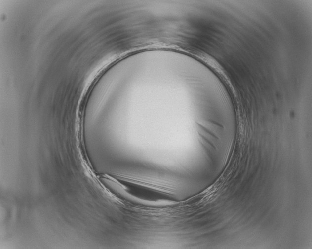 X0000053021096200507291727