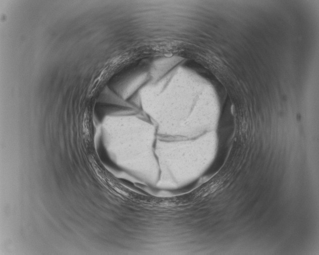 X0000053021106200507291726