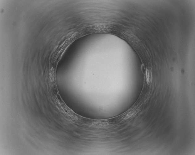 X0000053021107200507291726