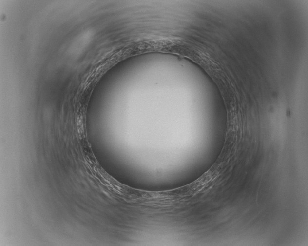 X0000053021109200507291726