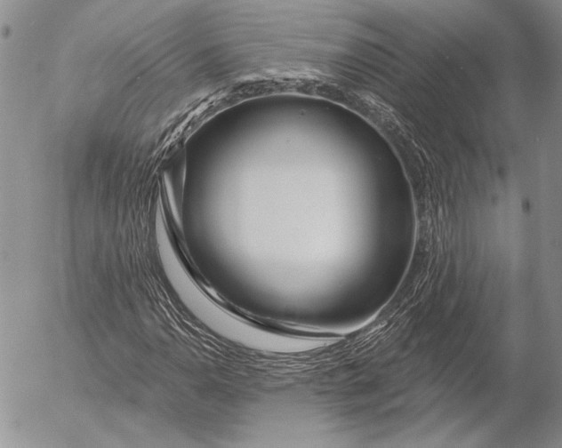 X0000053021110200507291726
