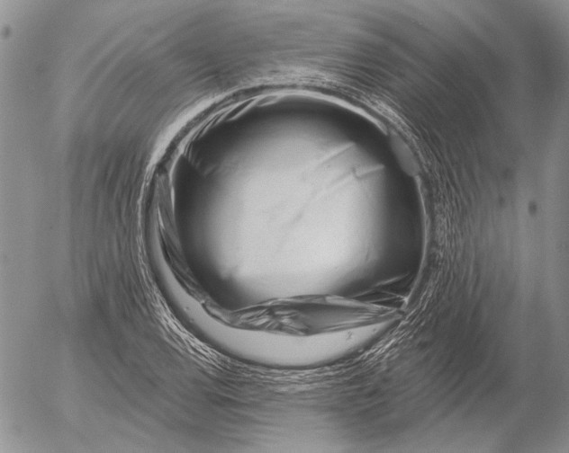 X0000053021120200507291726