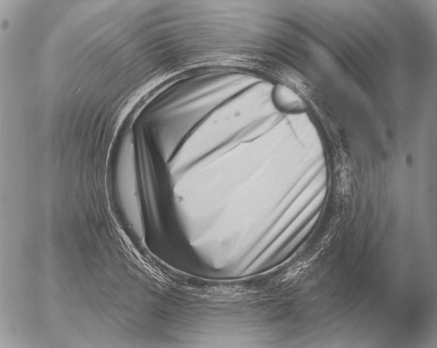 X0000053021125200507291726
