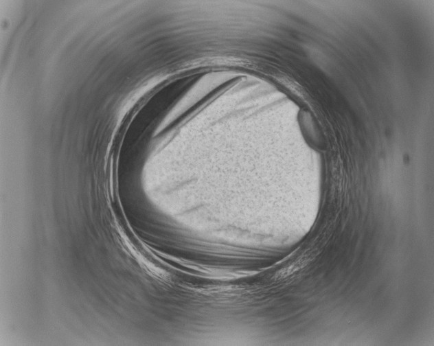 X0000053021127200507291726