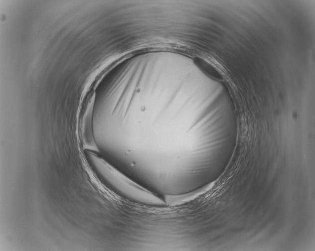 X0000053021128200507291726