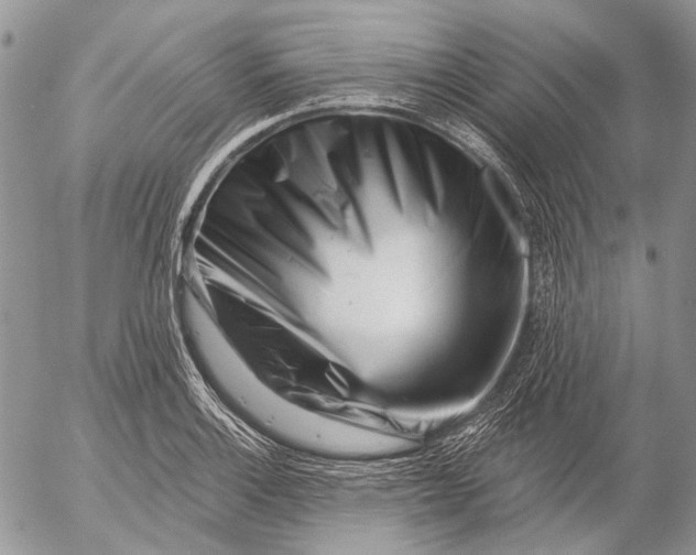 X0000053021132200507291726