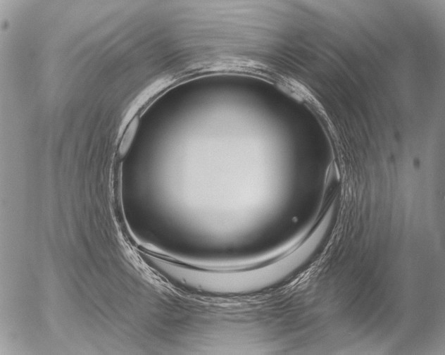 X0000053021138200507291727