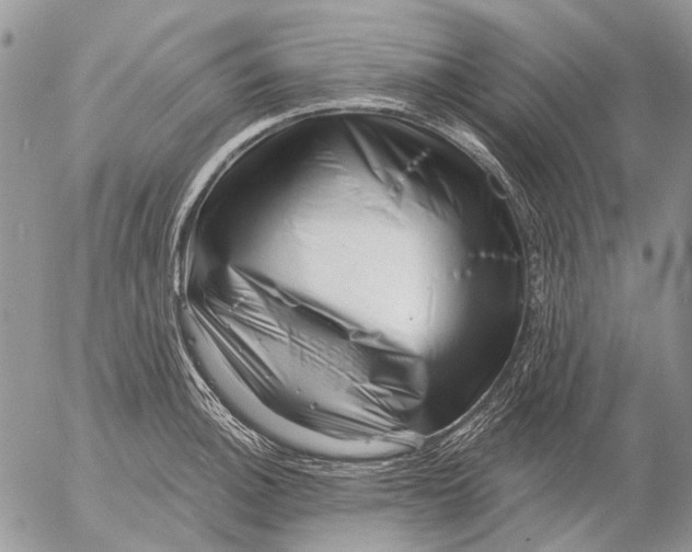 X0000053021140200507291727