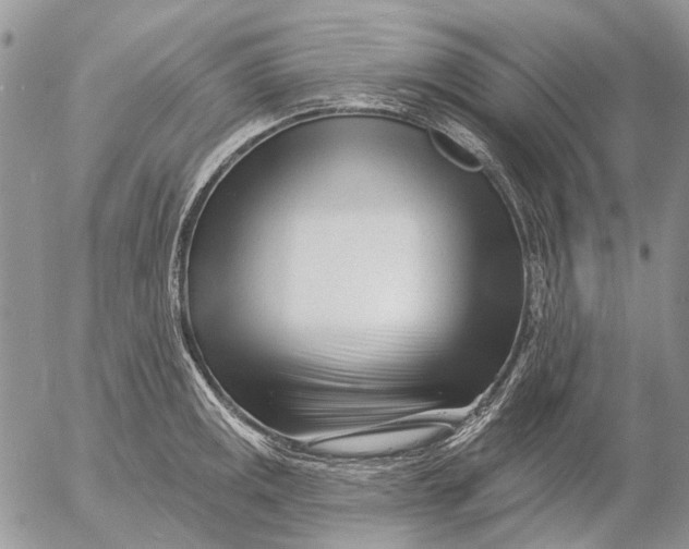 X0000053021141200507291727