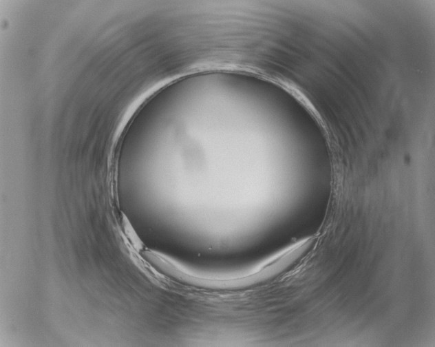 X0000053021148200507291727