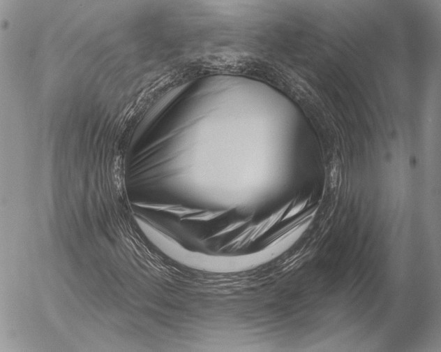 X0000053021156200507291726