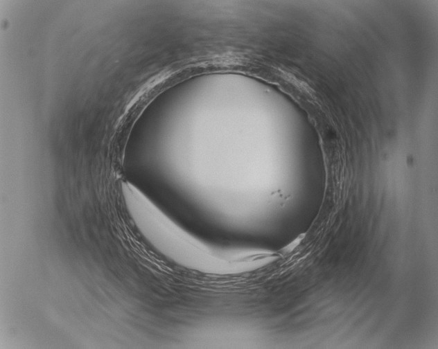 X0000053021160200507291726