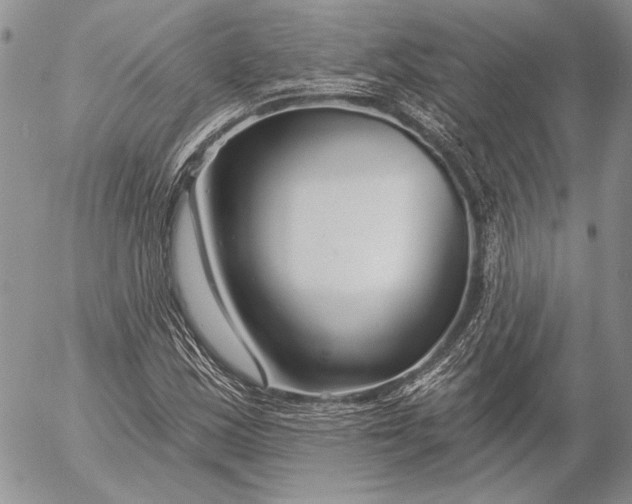 X0000053021163200507291726