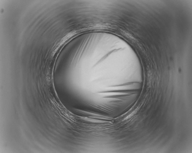 X0000053021170200507291726