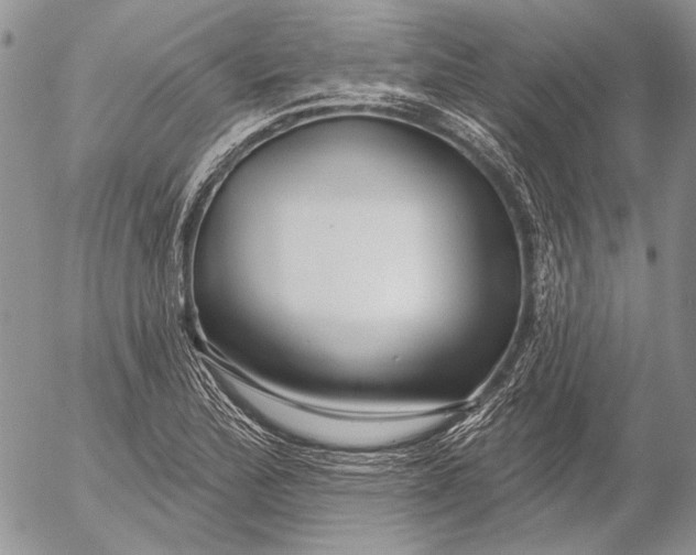 X0000053021172200507291726