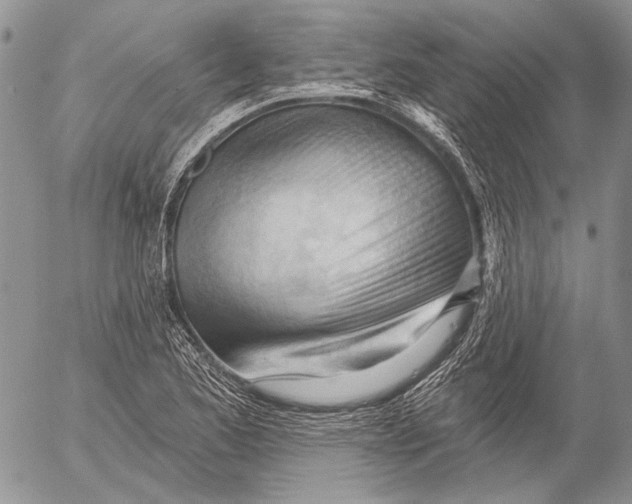X0000053021173200507291726