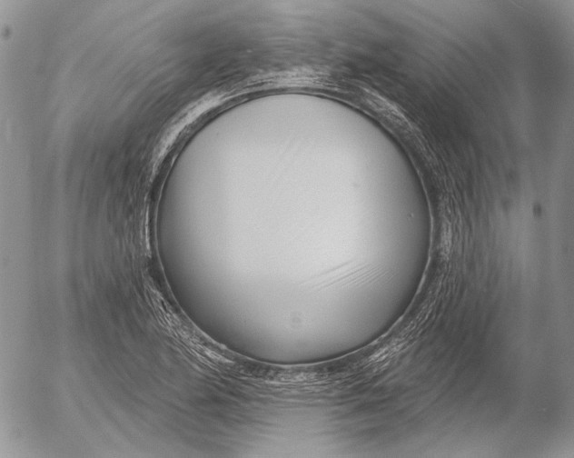 X0000053021174200507291726