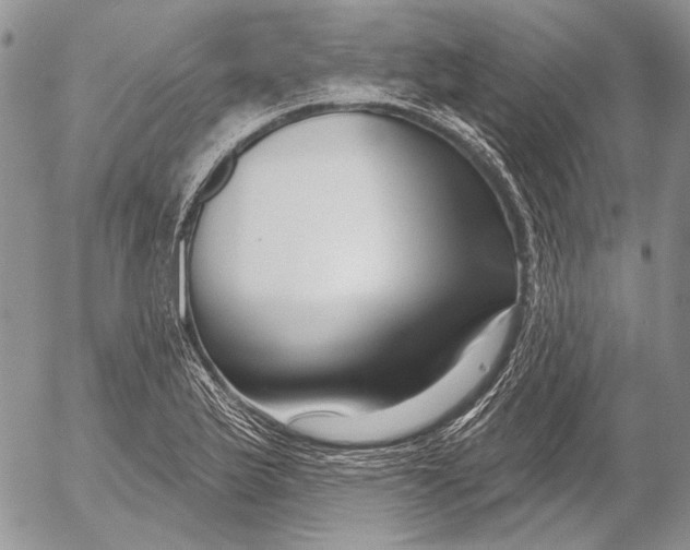 X0000053021175200507291726