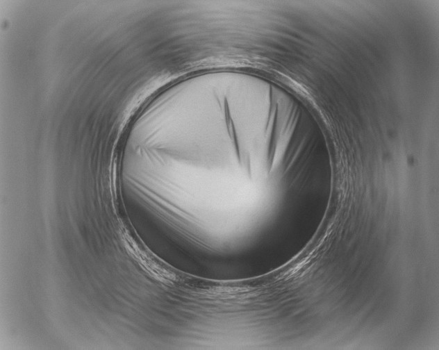 X0000053021179200507291726