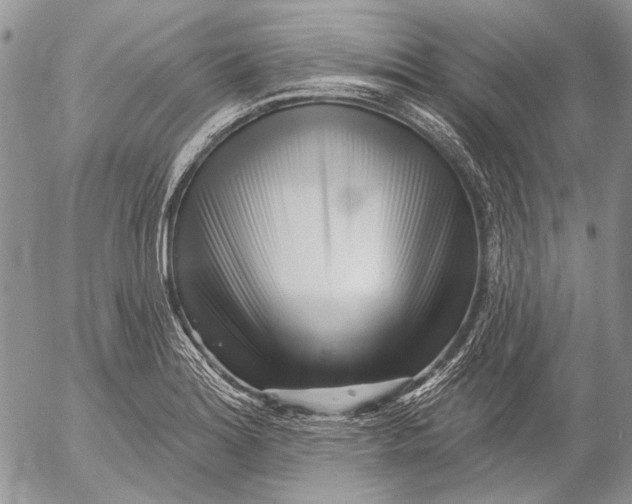 X0000053021180200507291726