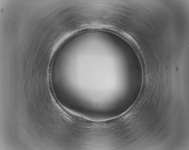 X0000053021183200507291726