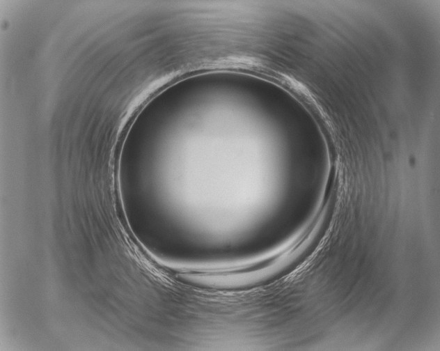 X0000053021184200507291726