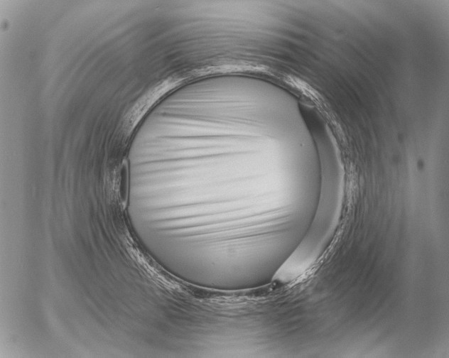 X0000053021185200507291725