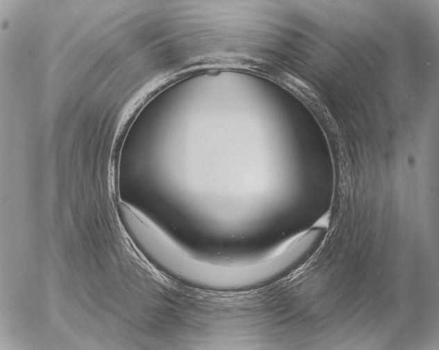 X0000053021188200507291725
