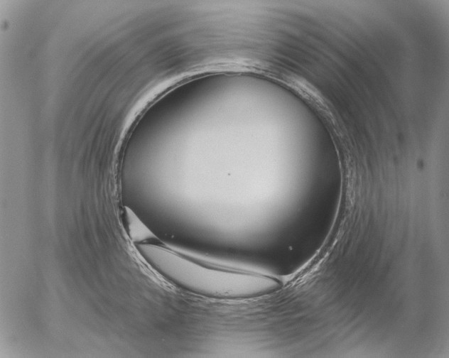 X0000053021192200507291725