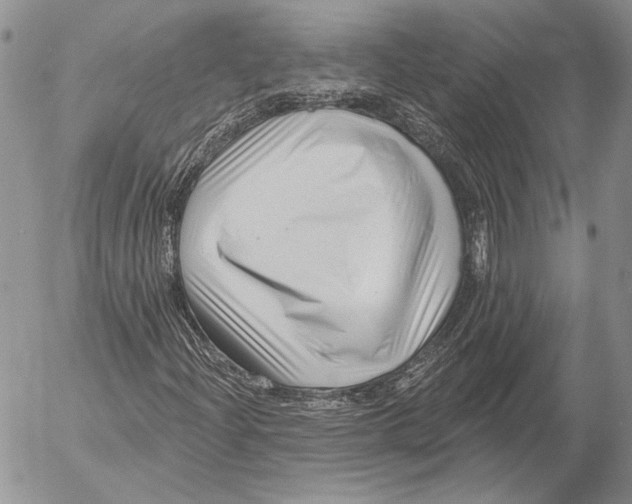 X0000053021204200507291724