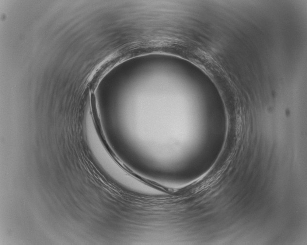 X0000053021210200507291725