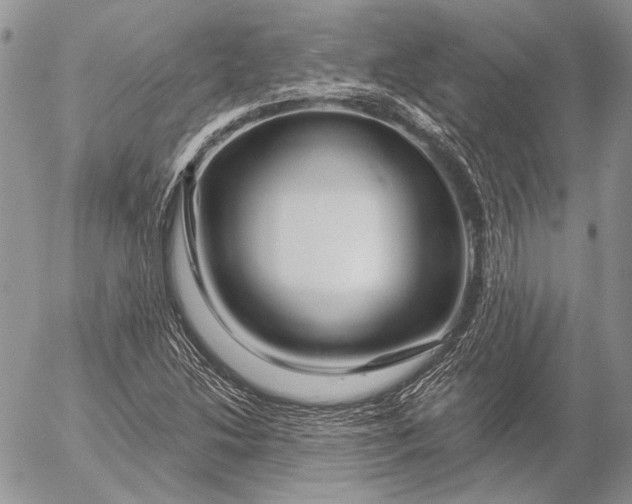 X0000053021214200507291725
