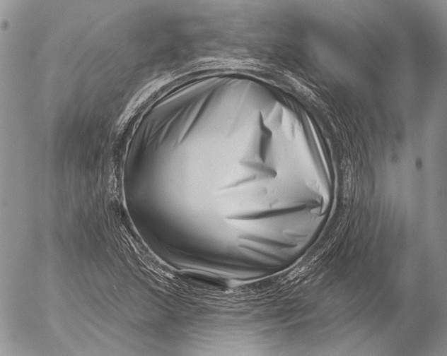 X0000053021215200507291725