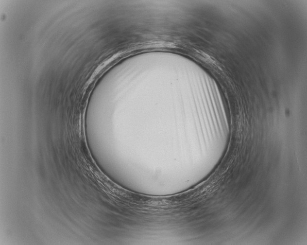 X0000053021220200507291725
