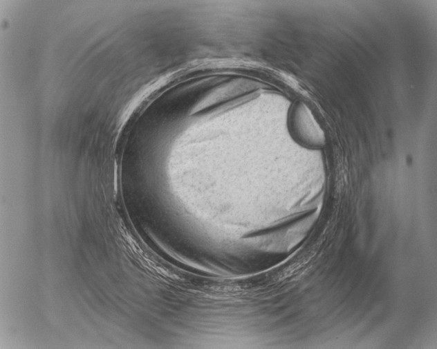 X0000053021221200507291725