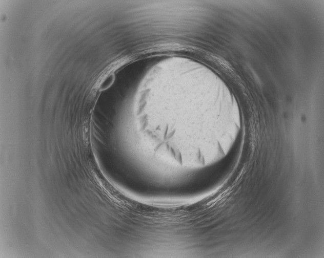 X0000053021225200507291725