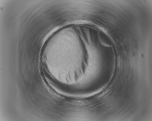 X0000053021229200507291725