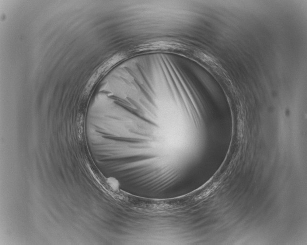 X0000053021233200507291725