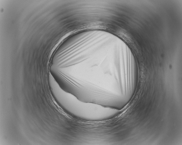 X0000053021236200507291725