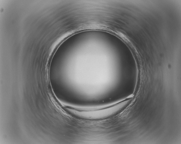 X0000053021238200507291725