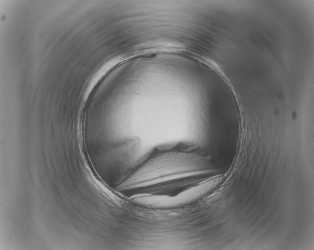 X0000053021243200507291725