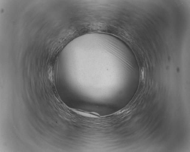 X0000053021251200507291724